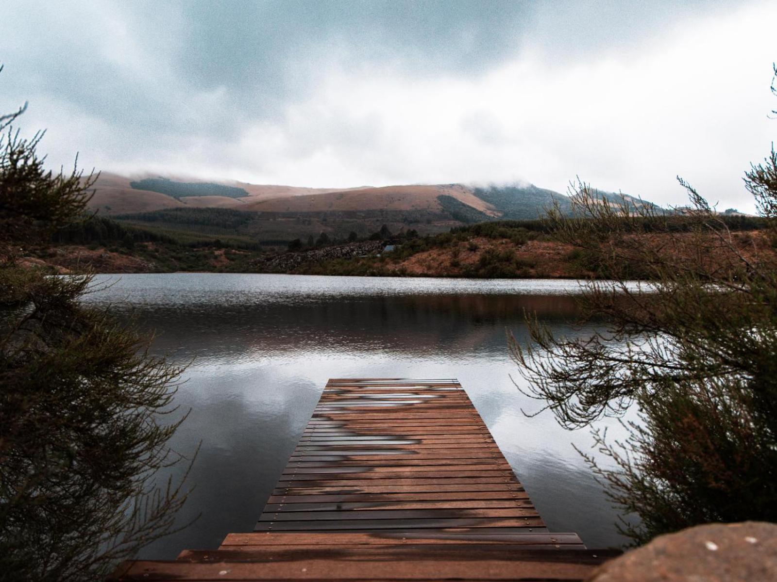 Star Dam Lodges Dargle Dış mekan fotoğraf